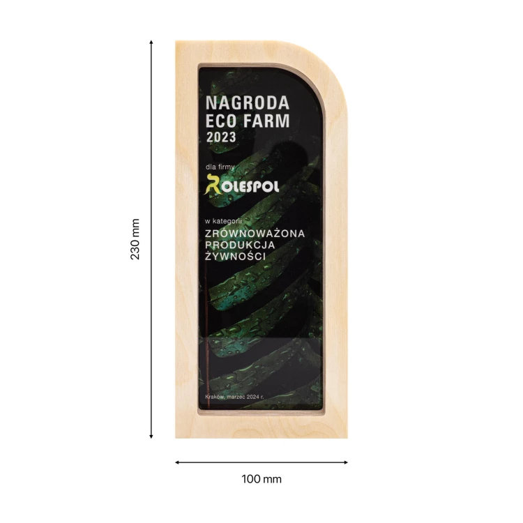 Statuetka biznesowa - drewno i akryl z nadrukiem UV - wys. 23 cm - DTA136