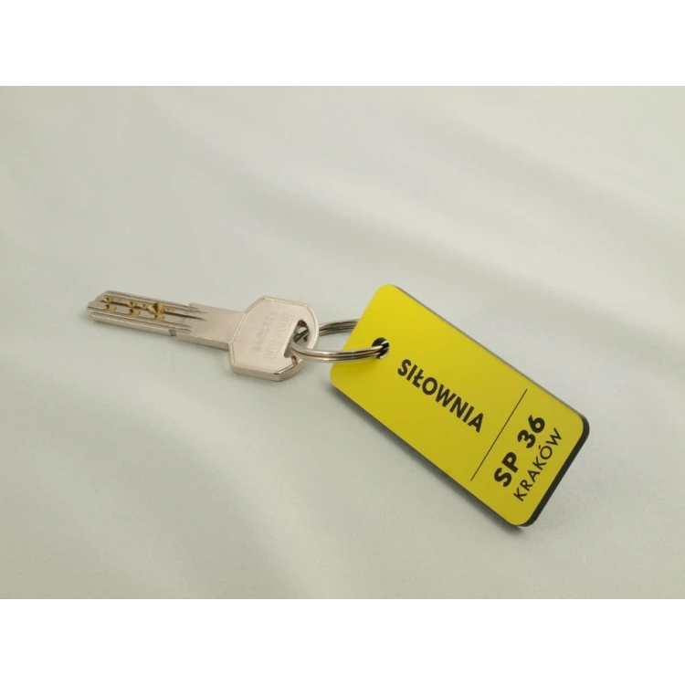 Breloczki do kluczy dla szkoły - TROGIR - różne kolory - 70x30mm