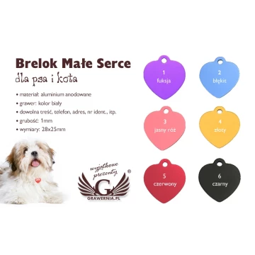 Brelok dla psa i kota - MAŁE SERCE - BDZ007