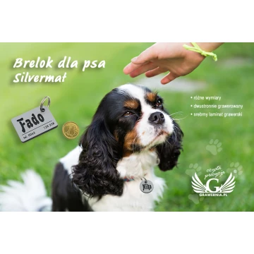 Brelok dla psa - SILVERMAT - laminat dwustronnie grawerowany - BDZ008