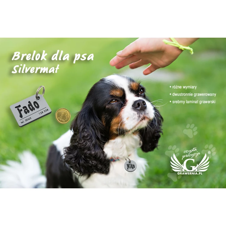 Brelok dla psa - SILVERMAT - laminat dwustronnie grawerowany - BDZ008