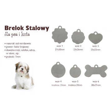Brelok stalowy dla psa i kota - BDZ014