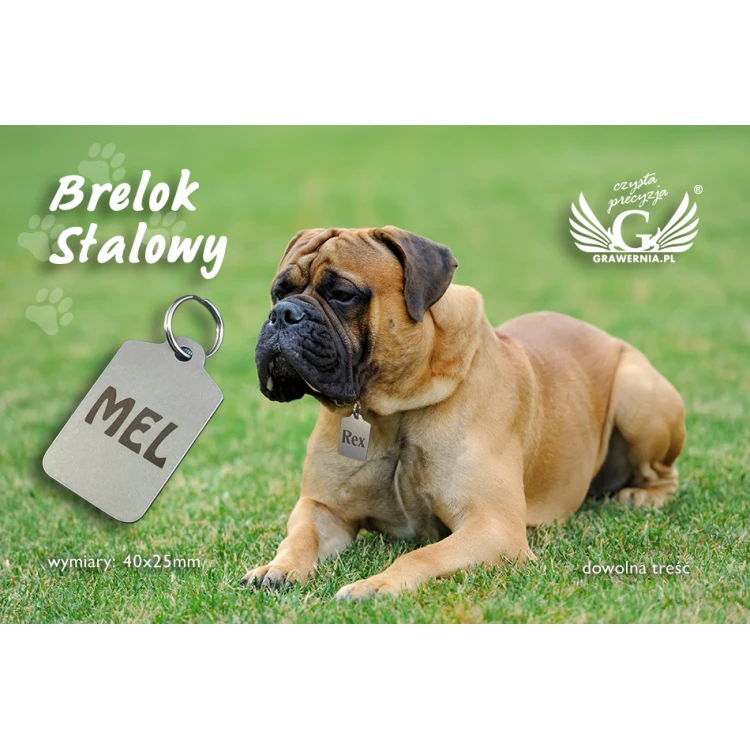 Brelok stalowy dla zwierzaka - B1 - dwustronnie grawerowany