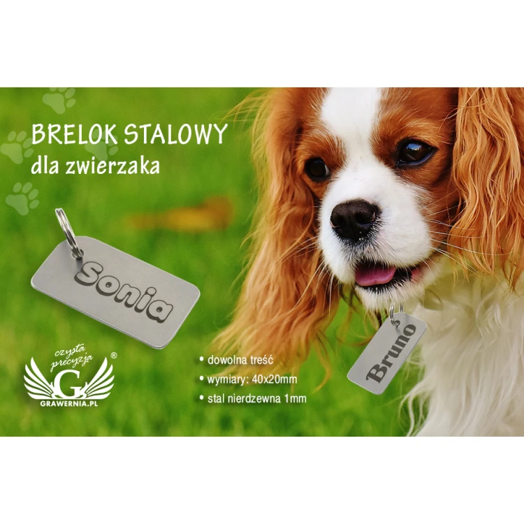 Brelok stalowy dla zwierzaka - B2 - dwustronnie grawerowany