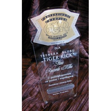 DUŻE TROFEUM - MMA - model DTA1