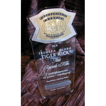 DUŻE TROFEUM - MMA - model DTA1