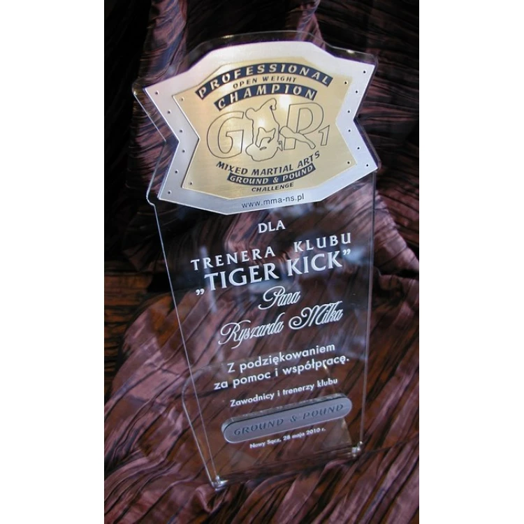 DUŻE TROFEUM - MMA - model DTA1