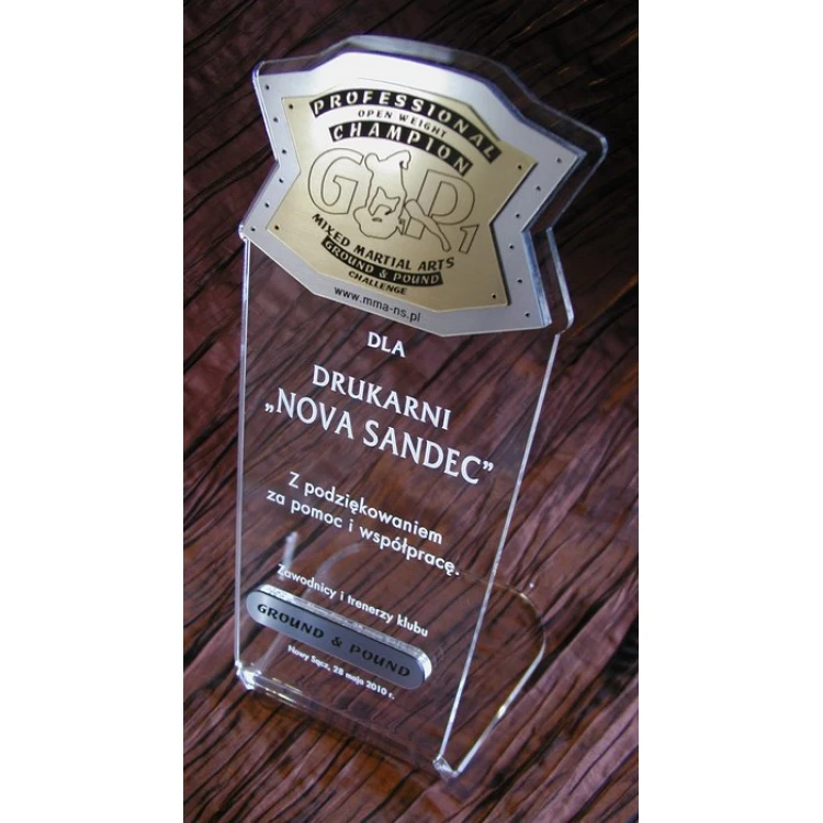 DUŻE TROFEUM - MMA - model DTA1