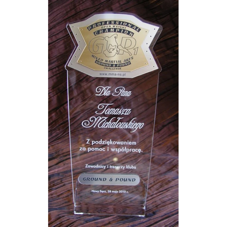 DUŻE TROFEUM - MMA - model DTA1