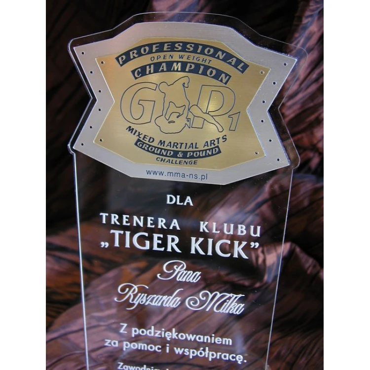 DUŻE TROFEUM - MMA - model DTA1