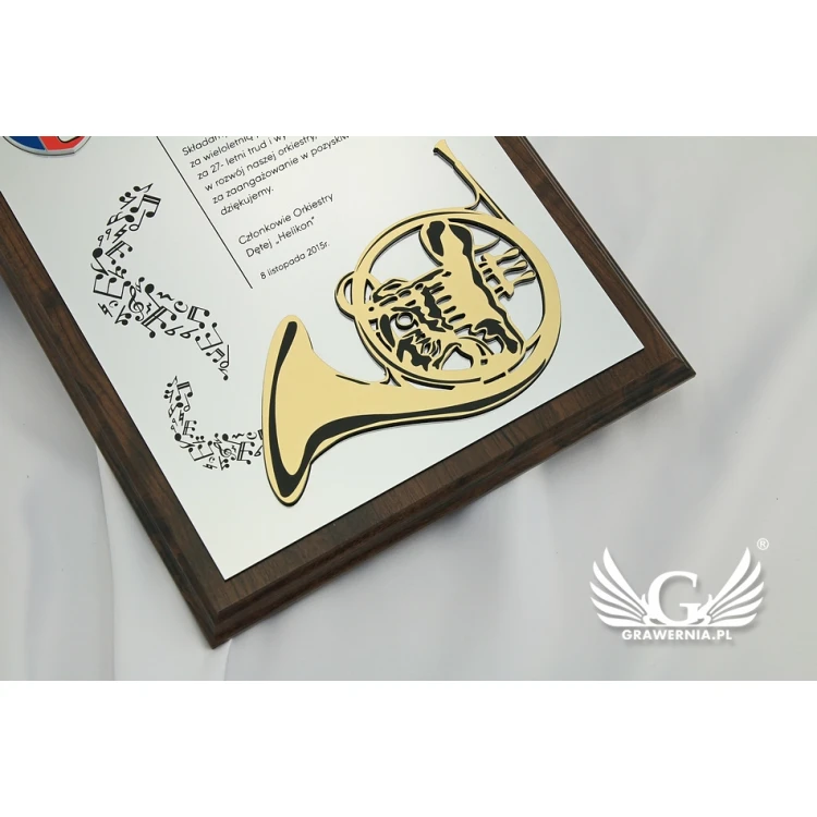 Dyplom dla muzyka z wypukłą grafiką instrumentu muzycznego - SL043
