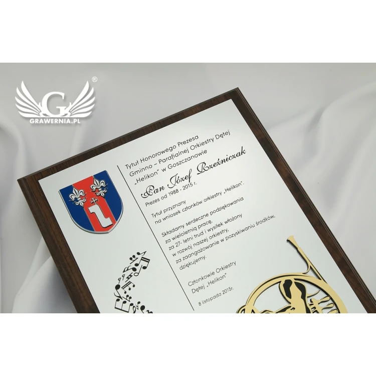 Dyplom dla muzyka z wypukłą grafiką instrumentu muzycznego - SL043