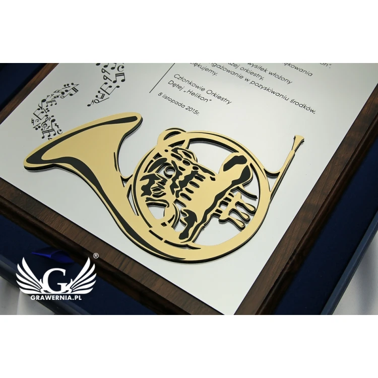 Dyplom dla muzyka z wypukłą grafiką instrumentu muzycznego - SL043