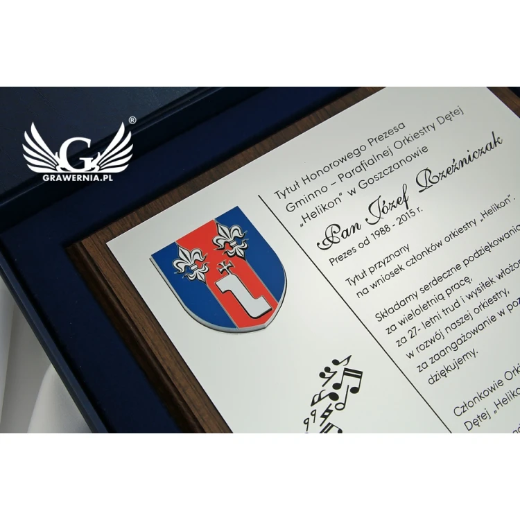 Dyplom dla muzyka z wypukłą grafiką instrumentu muzycznego - SL043