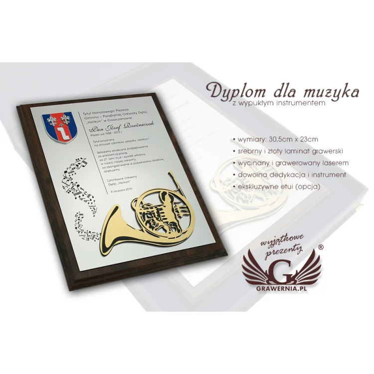 Dyplom dla muzyka z wypukłą grafiką instrumentu muzycznego - SL043