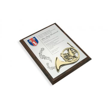 Dyplom dla muzyka z wypukłą grafiką instrumentu muzycznego - SL043