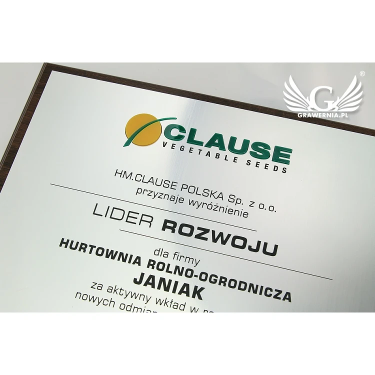 Dyplom grawerowany z wypukłym logo - poziomy - SL044