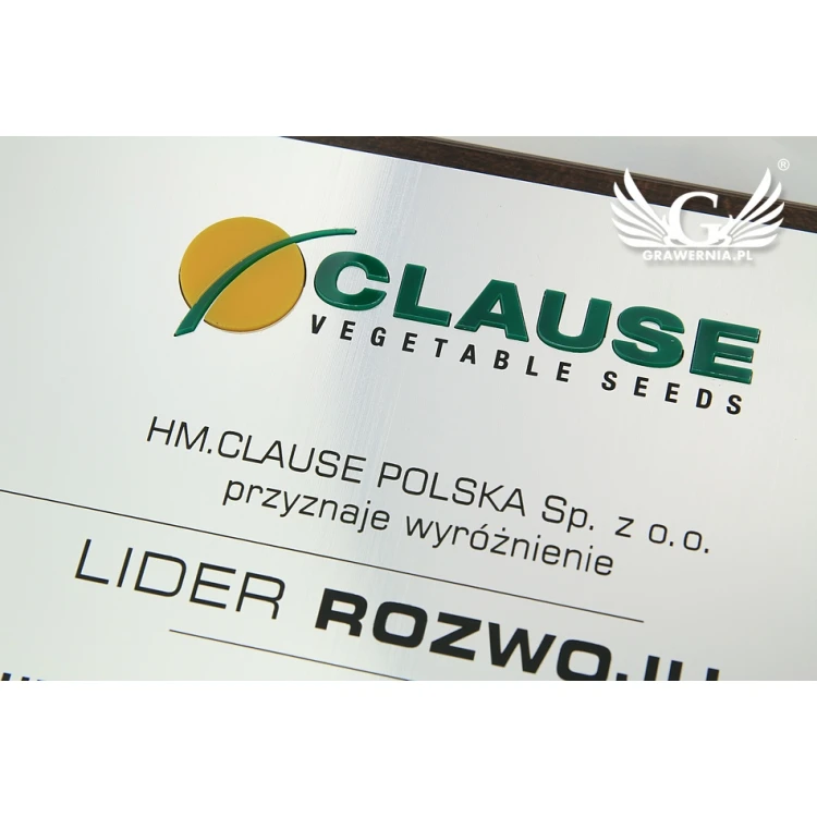 Dyplom grawerowany z wypukłym logo - poziomy - SL044