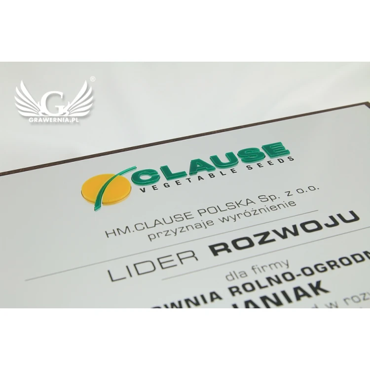 Dyplom grawerowany z wypukłym logo - poziomy - SL044