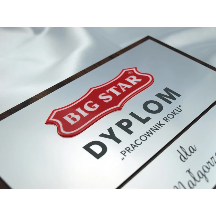 Dyplom - PRACOWNIK ROKU - z dwoma wypukłymi logotypami - SL028