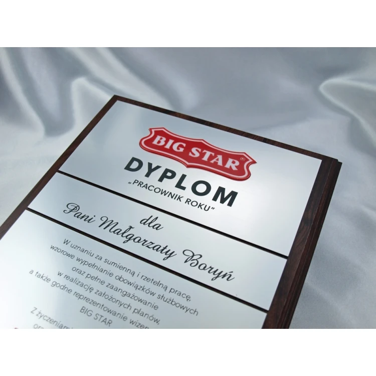 Dyplom - PRACOWNIK ROKU - z dwoma wypukłymi logotypami - SL028