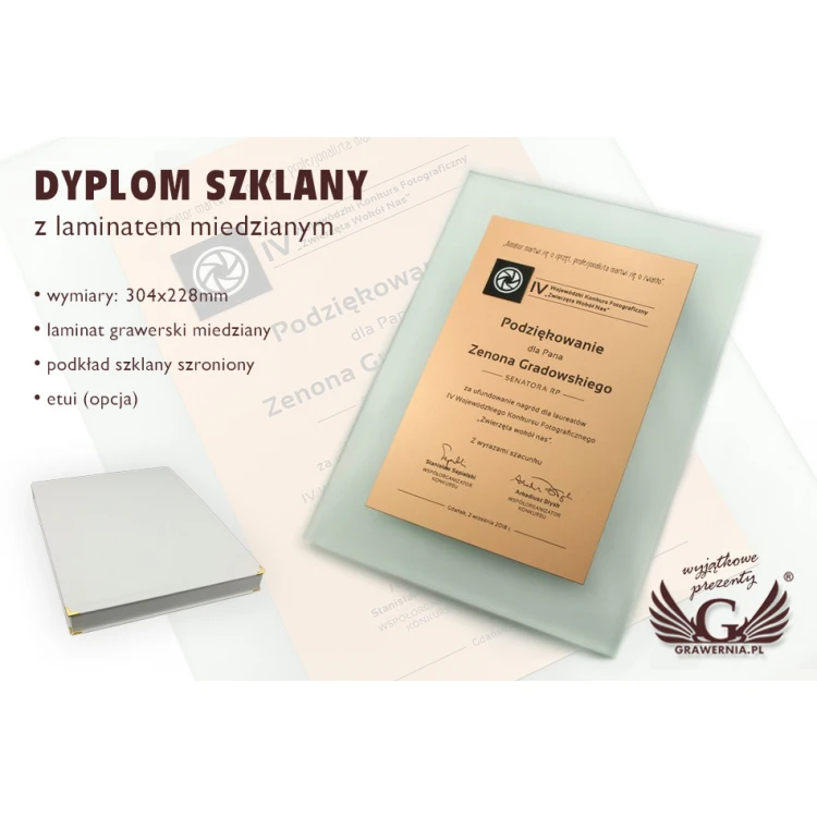 Dyplom uznania - DSZ049