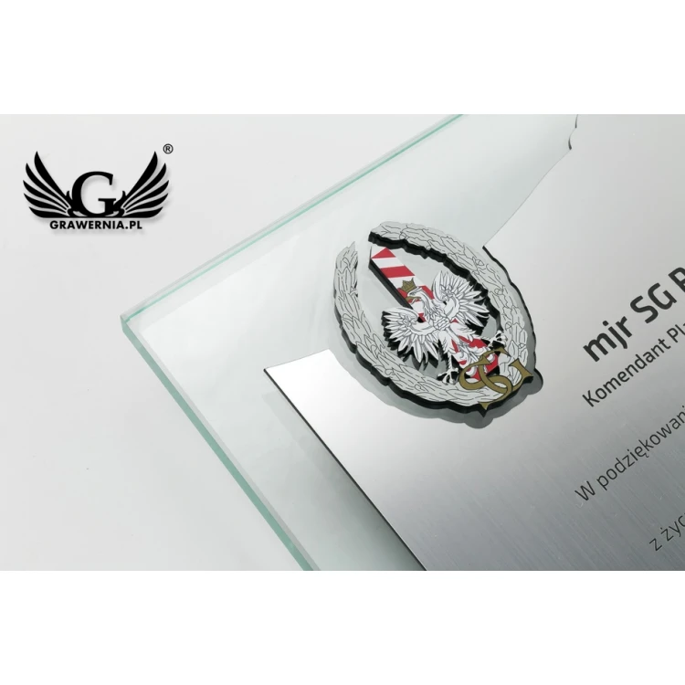 Dyplom uznania - poziomy - grawer i kolorowe logotypy  - DUV046