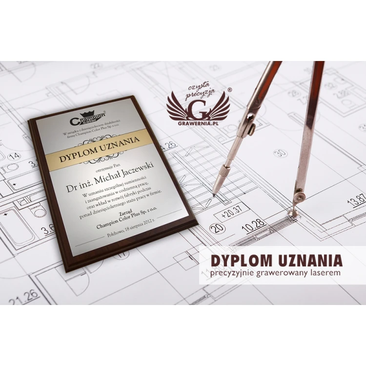 DYPLOM UZNANIA srebrno-złoty - DS032
