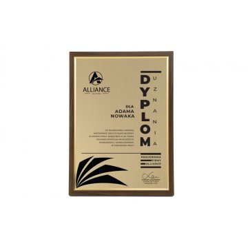 Dyplom uznania w ramie - złoty laminat grawerski - DWR6