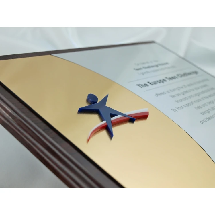 Dyplom z akrylowym logo - SL025