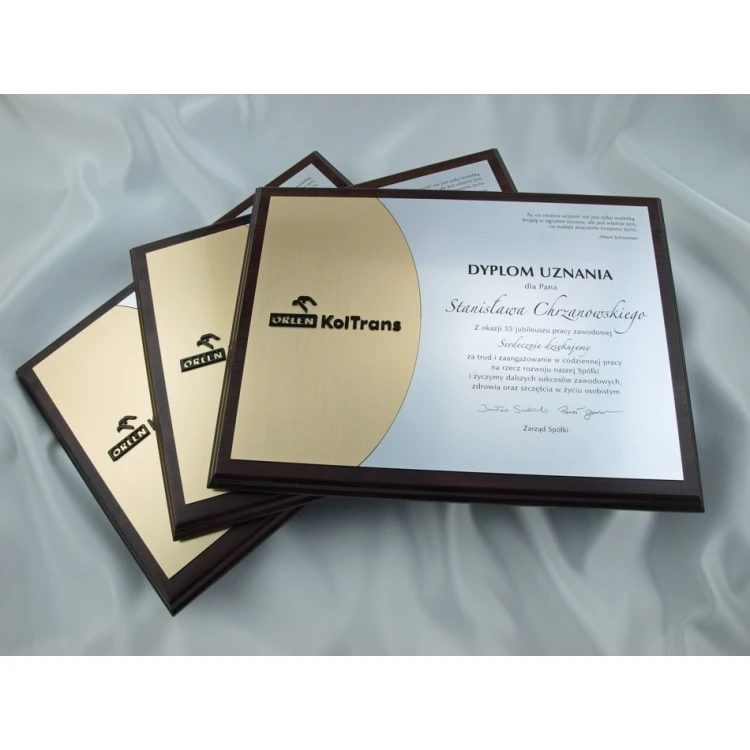 Dyplom z akrylowym logo - SL025