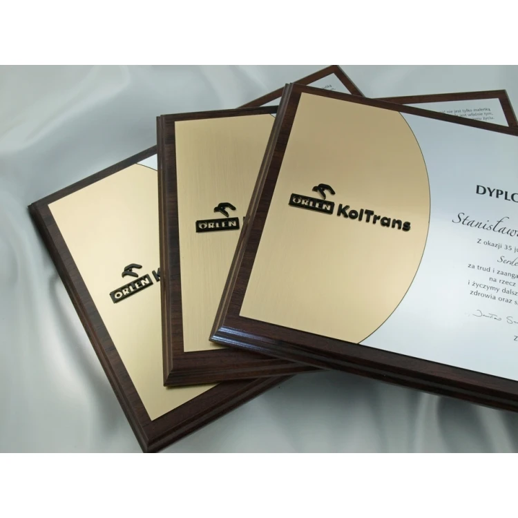 Dyplom z akrylowym logo - SL025