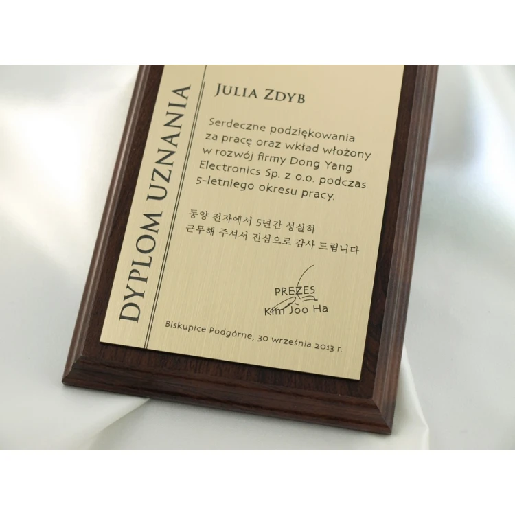 DYPLOM MD1 - DS020