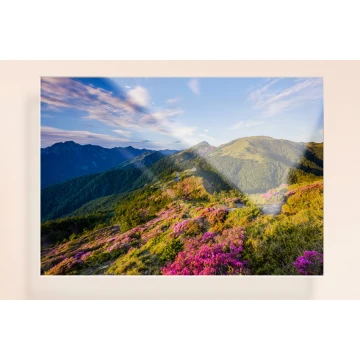 Fotografia na szkle akrylowym (plexi) - fotoplakat - wym: 700x500mm - DEK034