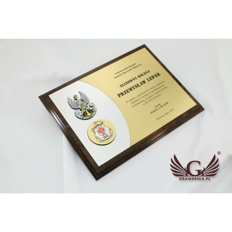 DYPLOM OKOLICZNOŚCIOWY - SL049 - poziomy