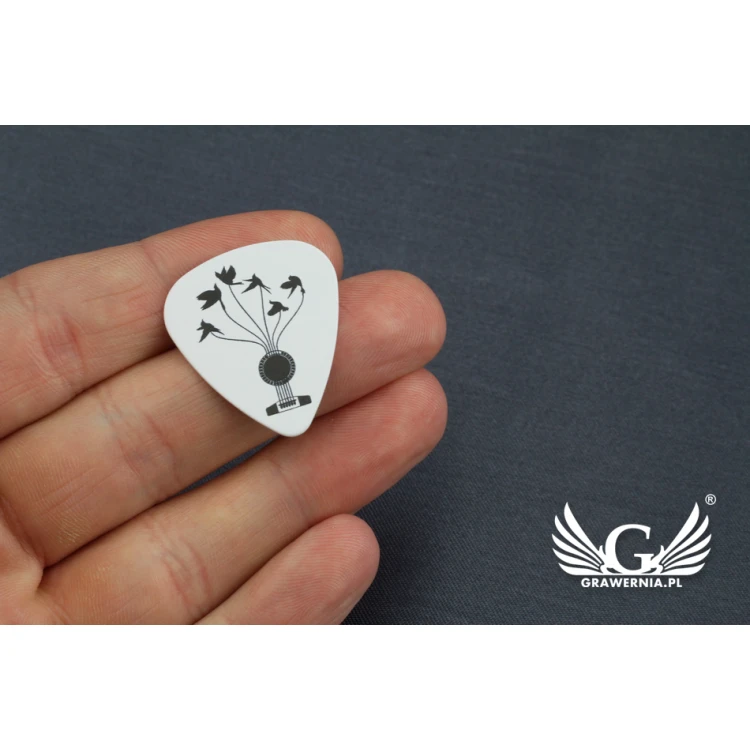Kostki do gry na gitarze z nadrukiem UV - KG09