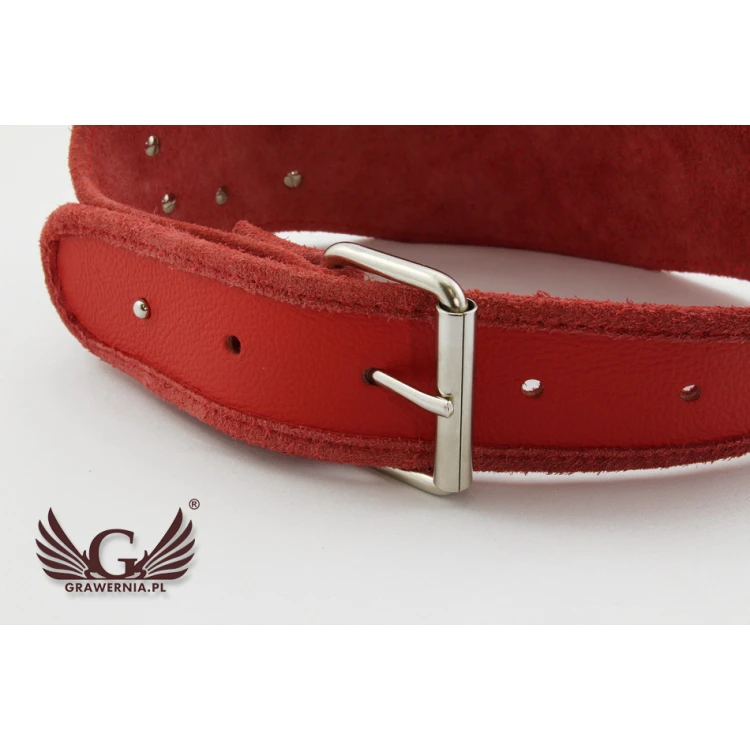 Mały Pas Mistrzowski Champion  - MP003