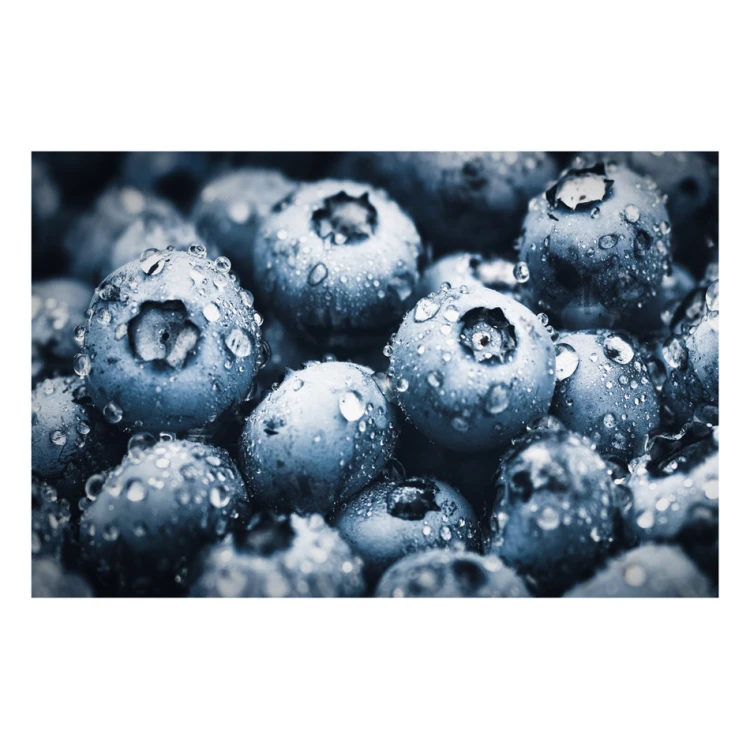 Mata ochronna pod fotel lub krzesło z dowolną grafiką, fotografią - wym: 120x75 cm - MOF009