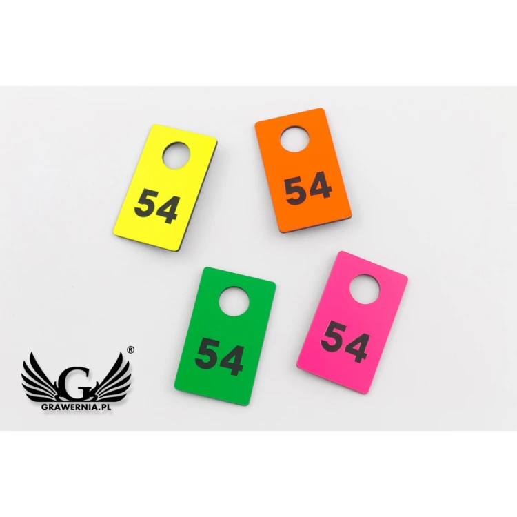 Numerki do szatni grawerowane - PROSTOKĄT NEON - wym. 30x50mm - grubość 1.6mm - NSZ009