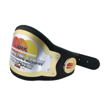 PAS MISTRZOWSKI BOKS CHAMPION - P032