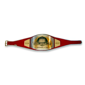 PAS MISTRZOWSKI CHAMPION - MMA - P004