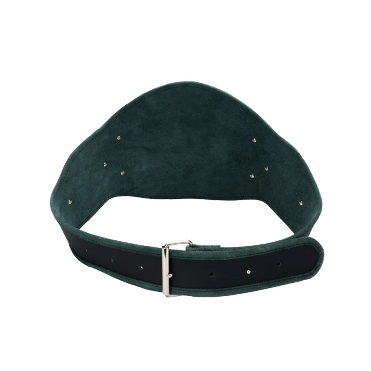 PAS MISTRZOWSKI CHAMPION - P048