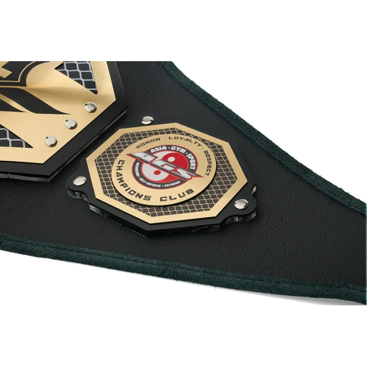 PAS MISTRZOWSKI CHAMPION - P049