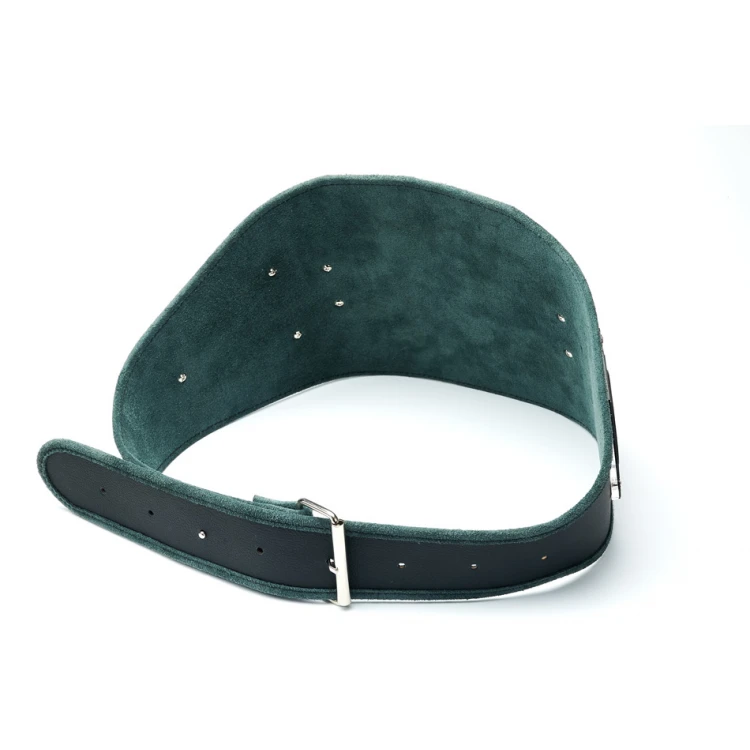 PAS MISTRZOWSKI CHAMPION - P049
