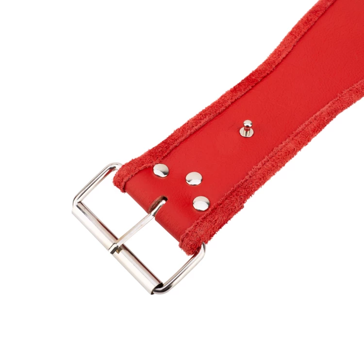 Pas Mistrzowski Champion - P063