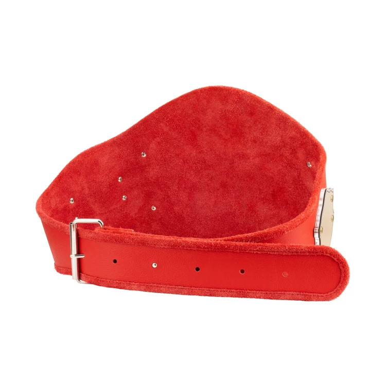 Pas Mistrzowski Champion - P063
