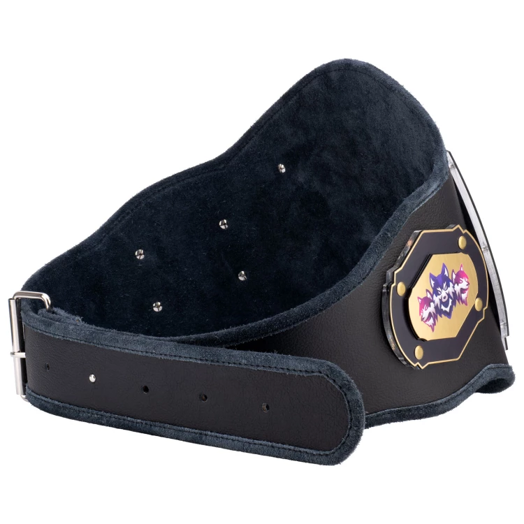 Pas Mistrzowski Champion - P066