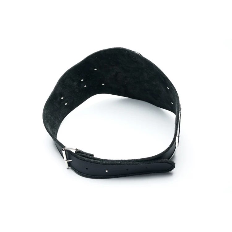 PAS MISTRZOWSKI DLA SUPER TATY - P050