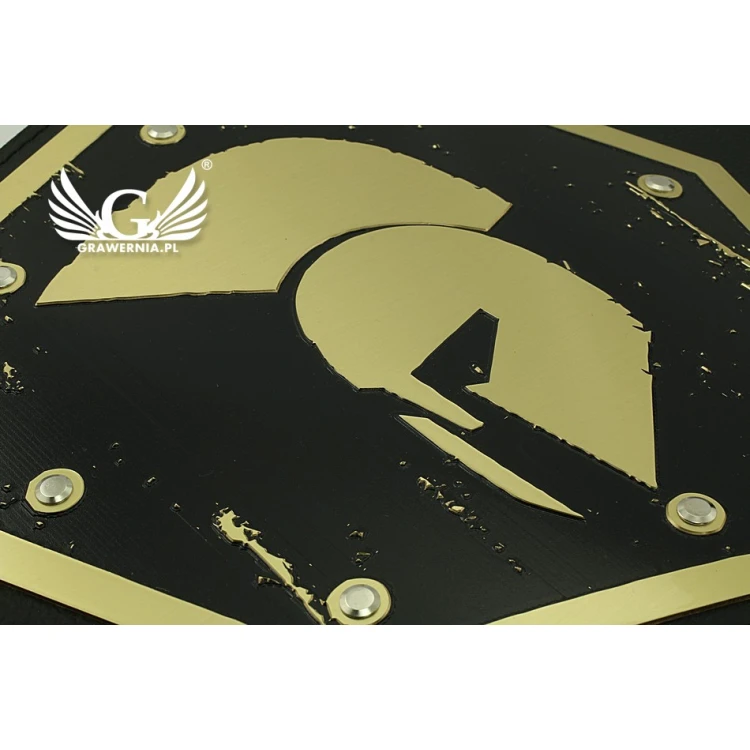 PAS MISTRZOWSKI CHAMPION MMA - P036 (CNC)
