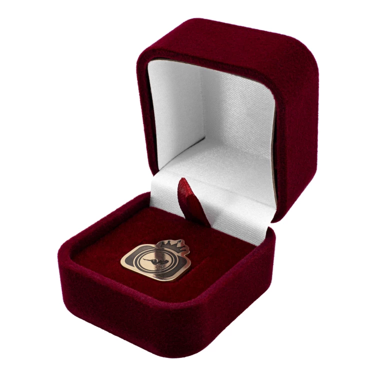 Pins z mosiądzu - grawer laserem - wym. 18x19 mm - PWD043